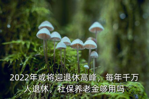 2022年或?qū)⒂诵莞叻?，每年千萬人退休，社保養(yǎng)老金夠用嗎