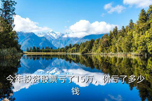 今年投資股票虧了15萬，你虧了多少錢