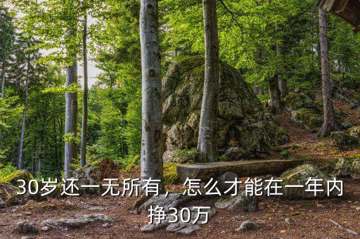 30歲還一無所有，怎么才能在一年內(nèi)掙30萬