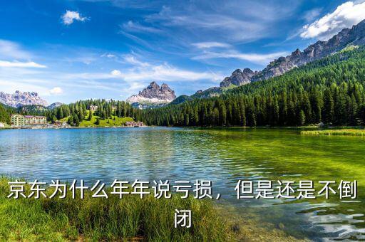 京東為什么年年說虧損，但是還是不倒閉