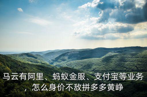 馬云有阿里、螞蟻金服、支付寶等業(yè)務(wù)，怎么身價(jià)不敵拼多多黃崢