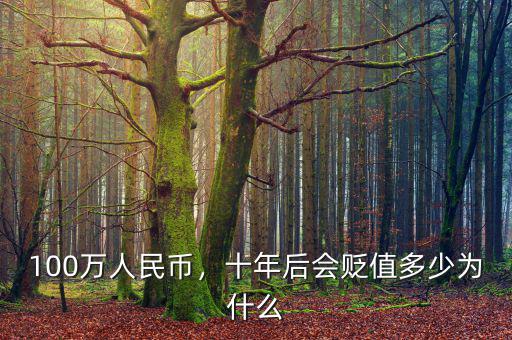 100萬人民幣，十年后會貶值多少為什么