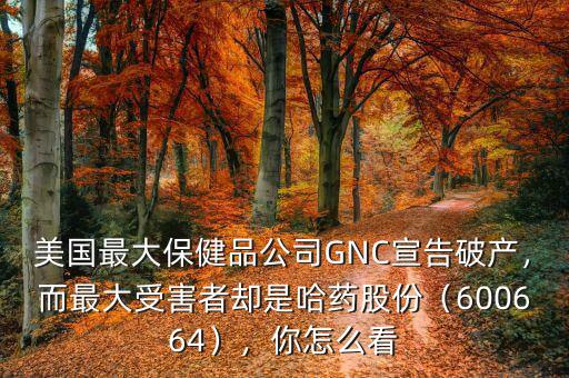 美國最大保健品公司GNC宣告破產(chǎn)，而最大受害者卻是哈藥股份（600664），你怎么看