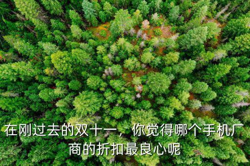 在剛過去的雙十一，你覺得哪個(gè)手機(jī)廠商的折扣最良心呢