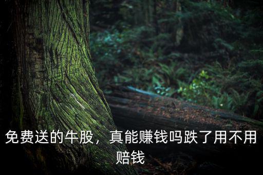 免費(fèi)送的牛股，真能賺錢嗎跌了用不用賠錢