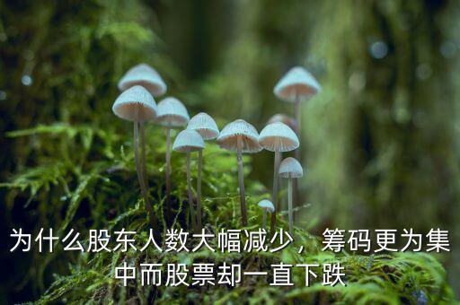 為什么股東人數(shù)大幅減少，籌碼更為集中而股票卻一直下跌