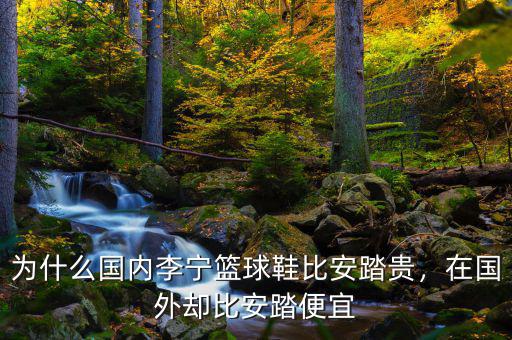 為什么國(guó)內(nèi)李寧籃球鞋比安踏貴，在國(guó)外卻比安踏便宜