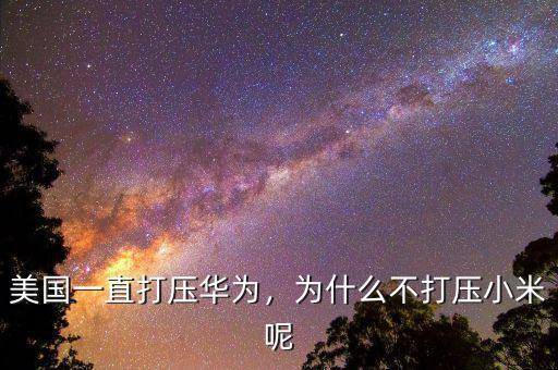 美國(guó)一直打壓華為，為什么不打壓小米呢