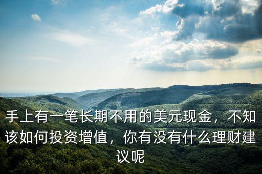 手上有一筆長(zhǎng)期不用的美元現(xiàn)金，不知該如何投資增值，你有沒(méi)有什么理財(cái)建議呢
