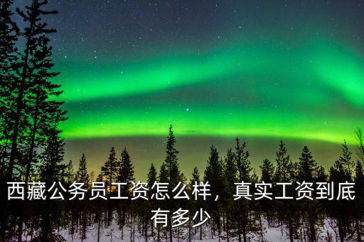 西藏公務(wù)員工資怎么樣，真實工資到底有多少