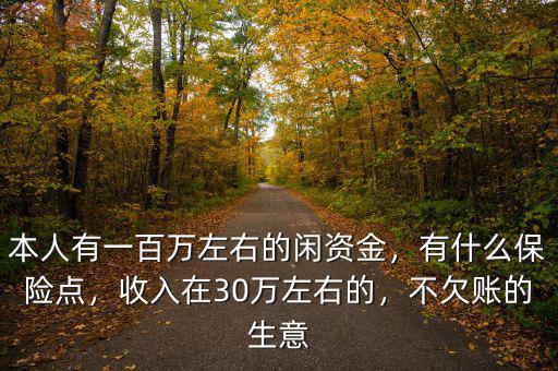 本人有一百萬(wàn)左右的閑資金，有什么保險(xiǎn)點(diǎn)，收入在30萬(wàn)左右的，不欠賬的生意