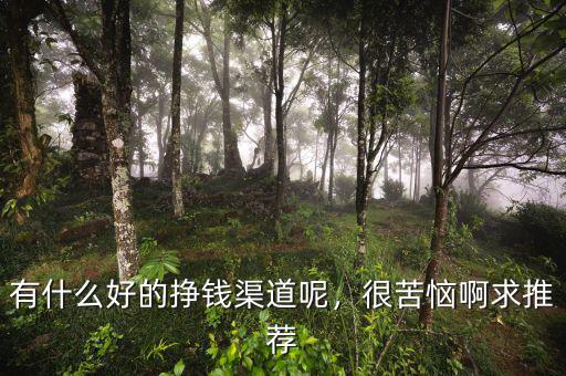 有什么好的掙錢渠道呢，很苦惱啊求推薦
