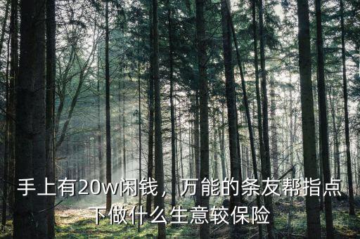 手上有20w閑錢，萬能的條友幫指點(diǎn)下做什么生意較保險