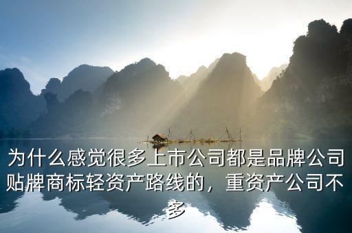 為什么感覺很多上市公司都是品牌公司貼牌商標輕資產(chǎn)路線的，重資產(chǎn)公司不多
