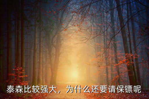 泰森比較強(qiáng)大，為什么還要請(qǐng)保鏢呢
