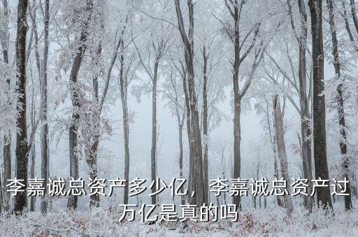 李嘉誠總資產(chǎn)多少億，李嘉誠總資產(chǎn)過萬億是真的嗎