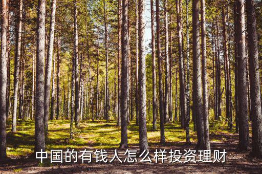 中國(guó)的有錢人怎么樣投資理財(cái)