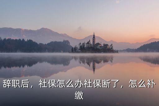 辭職后，社保怎么辦社保斷了，怎么補繳