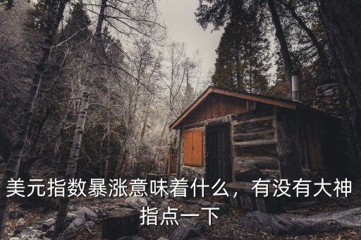 美元指數(shù)暴漲意味著什么，有沒有大神指點一下