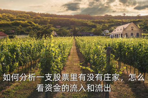 如何分析一支股票里有沒(méi)有莊家，怎么看資金的流入和流出