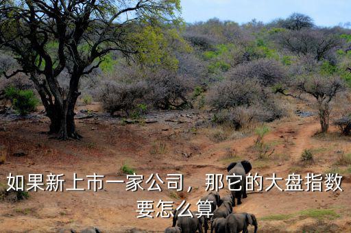 如果新上市一家公司，那它的大盤(pán)指數(shù)要怎么算