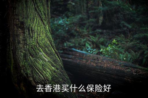 去香港買什么保險好