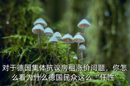 對(duì)于德國(guó)集體抗議房租漲價(jià)問題，你怎么看為什么德國(guó)民眾這么“任性”