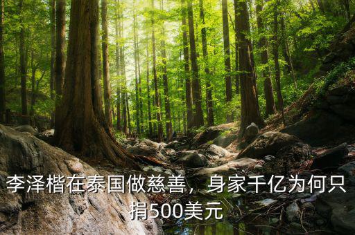 李澤楷在泰國(guó)做慈善，身家千億為何只捐500美元