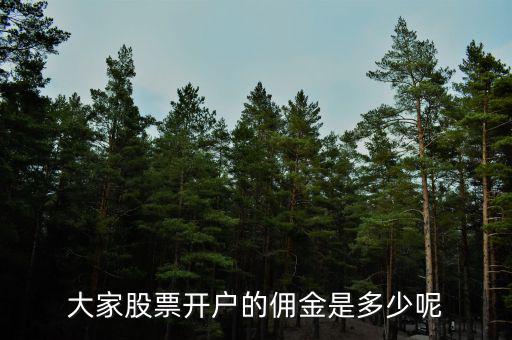 大家股票開(kāi)戶(hù)的傭金是多少呢