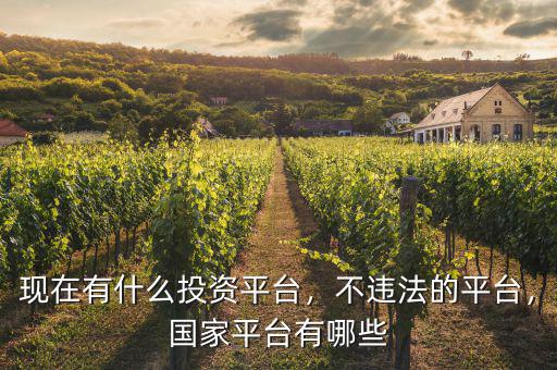現(xiàn)在有什么投資平臺，不違法的平臺，國家平臺有哪些