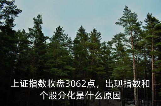 上證指數(shù)收盤3062點，出現(xiàn)指數(shù)和個股分化是什么原因