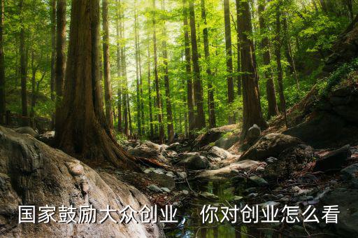 國家鼓勵(lì)大眾創(chuàng)業(yè)，你對(duì)創(chuàng)業(yè)怎么看