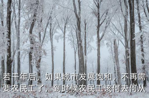 若干年后，如果城市發(fā)展飽和，不再需要農(nóng)民工了，到時候農(nóng)民工該何去何從