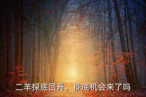探底回升是什么意思,二羊探底回升
