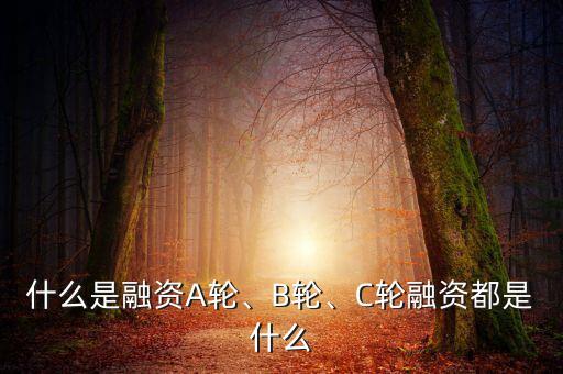 什么是融資A輪、B輪、C輪融資都是什么