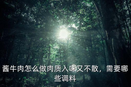 醬牛肉怎么做肉質(zhì)入味又不散，需要哪些調(diào)料