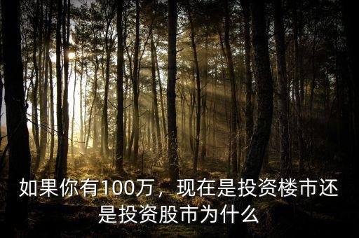 如果你有100萬(wàn)，現(xiàn)在是投資樓市還是投資股市為什么