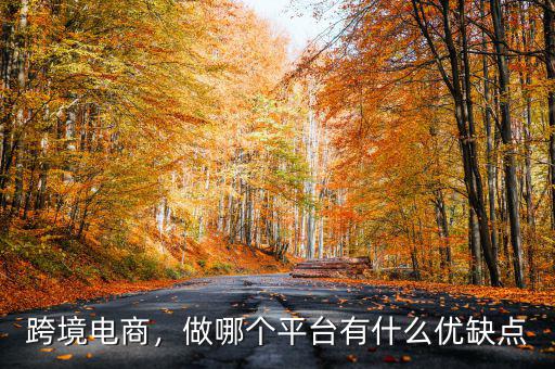跨境電商，做哪個平臺有什么優(yōu)缺點