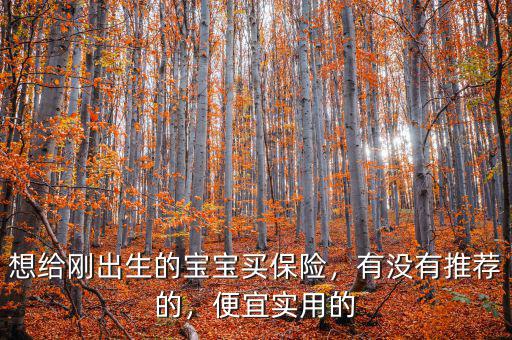 想給剛出生的寶寶買保險(xiǎn)，有沒(méi)有推薦的，便宜實(shí)用的