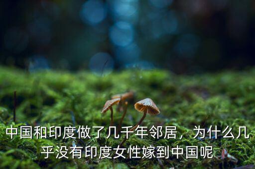 中國(guó)為什么沒有貧民窟,中國(guó)和印度做了幾千年鄰居