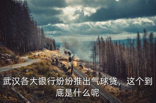 武漢各大銀行紛紛推出氣球貸，這個到底是什么呢