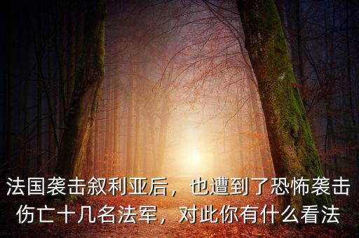 法國(guó)襲擊敘利亞后，也遭到了恐怖襲擊傷亡十幾名法軍，對(duì)此你有什么看法