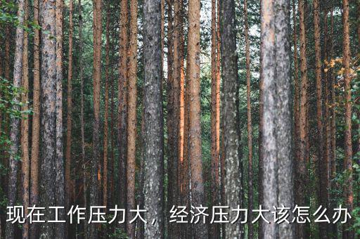 現(xiàn)在工作壓力大，經(jīng)濟壓力大該怎么辦