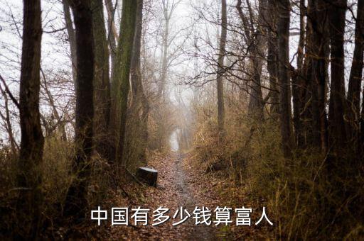 在中國(guó)多少錢(qián)算富人,在中國(guó)有多少錢(qián)才算是有錢(qián)人
