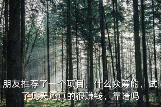 朋友推薦了一個項目，什么眾籌的，試了幾天還真的很賺錢，靠譜嗎