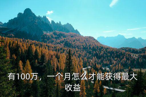 有100萬，一個月怎么才能獲得最大收益