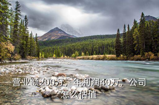 營業(yè)額200萬，年利潤40萬，公司怎么估值