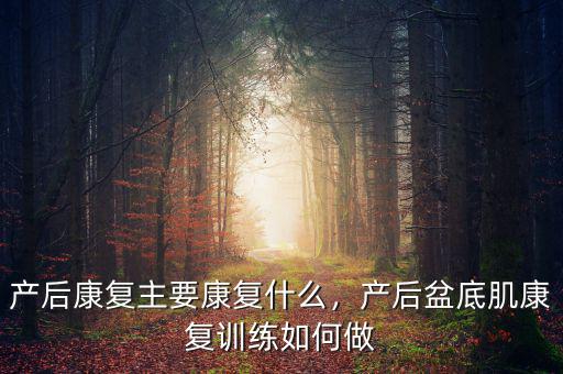 產(chǎn)后康復(fù)主要康復(fù)什么，產(chǎn)后盆底肌康復(fù)訓(xùn)練如何做