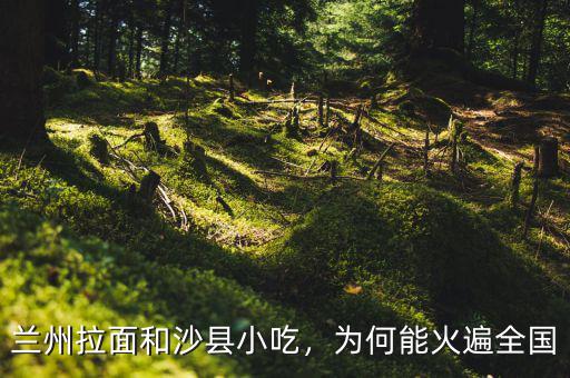 蘭州拉面和沙縣小吃，為何能火遍全國