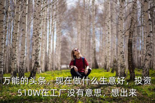 萬能的頭條，現(xiàn)在做什么生意好，投資510W在工廠沒有意思，想出來